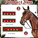 SilTriangle 3 Pcs Christmas Horse Santa Halter Bridle Cover with Jingle Bell Horse Halter Noseband Cheek Pieces Cover Christmas Tack Costume for Parade(Red Green)