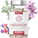 Produktbild NEU! Lungenkraut Kapseln (60 Stück) - 300 mg hochdosiertes echtes Lungenkraut (Lungwort) mit 12 Inhaltsstoffen wie Acerola & Hagebutte, Isländisches Moos, Malve, Eukalyptus und Salbei - Vegan