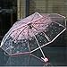 Produktbild samLIKE Regenschirm,Transparenter klarer Regenschirm Kirschblüten Pilz Apollo Sakura 3 Falten Regenschirm (Rosa)