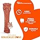 Nylabone Bacon Bone Dog Chew Souper