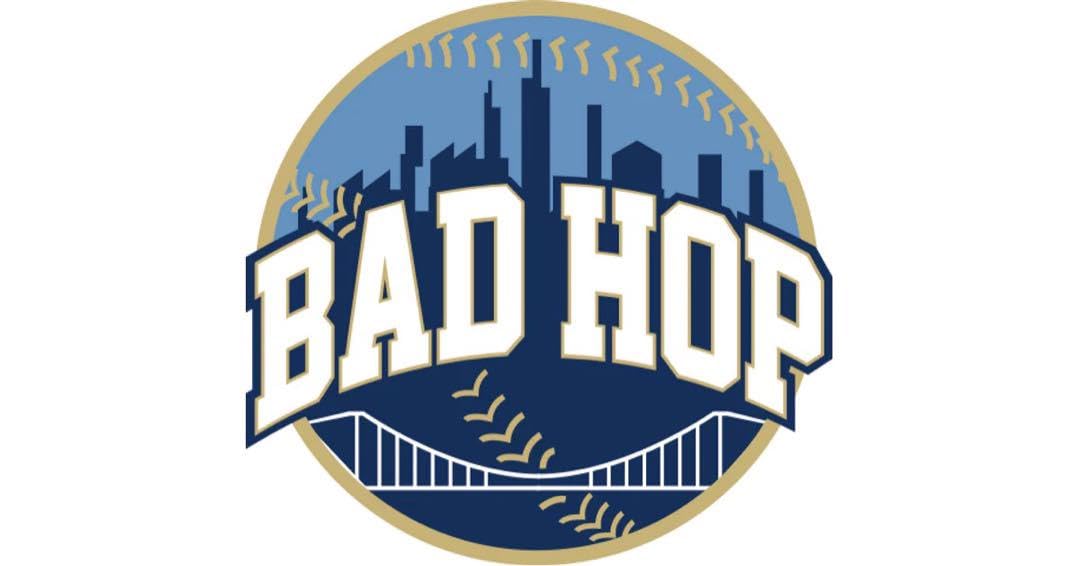 Amazon.co.jp: Badhop Sticker : Toys & Games