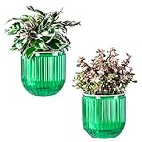 Melphoe Self Watering Pots for Indoor Plants Planter, 5.3 Inch 2 Pack Planters Self Watering Plant Pots for Flower, Houseplants, Succulent, African Violets and Cactus with Drainage
