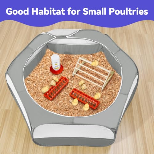 Image of Pawaboo Chick Brooder Box for Chick Starter Kit, Gray