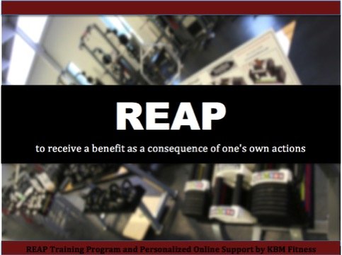 REAP Training Guide and Online Trainer - Training, Nutrition, Diet, Workout, Fitness, Exercise