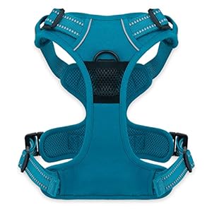   Voyager-Dog-Harness-Dual-Leash-Attachment-No-Pull-Control-Adjustable-Soft-but-Strong-Pet-Harness-for-Medium-and-Large-Dogs-with-3M-Reflective-Technology-Turquoise-M-Chest-20-25