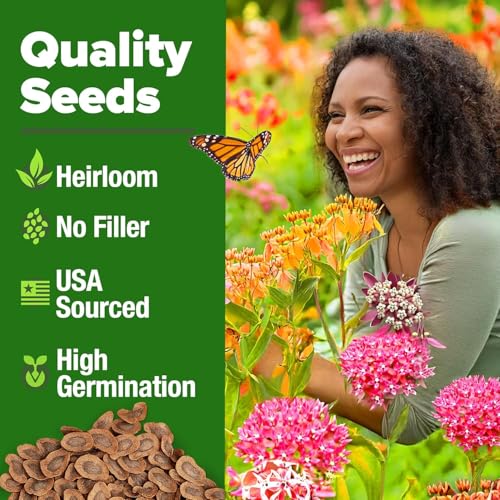 Image of HOME GROWN Milkweed Flower Seeds - 500+ Heirloom Perennial Wildflower Seeds (5 Individual Varieties) Supports Monarch Habitat, Grows in Zones 3-11 (Asclepias syriaca)