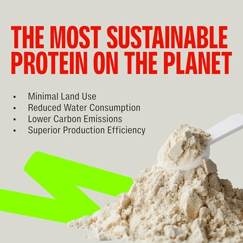 Image of Superyou Pro Fermented Yeast Protein Isolate 500g | 24g Protein| Vanilla | Higher Absorption than Plant Protein | Superior Muscle Recovery | Gut Friendly | Vegan Protein | PDCAAS of 1