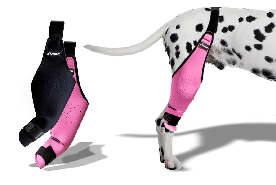 Ombit Dog Knee Brace for Torn ACL Hind Leg, Pink & Black Back Leg Support Brace for Dogs, Durable Medium Size Compression, Comfortable Dog Knee Brace