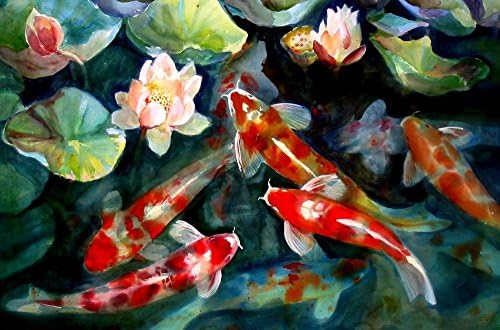 WATER FISH POND KOI CARP NEW GIANT ART PRINT POSTER G1530 36x24"