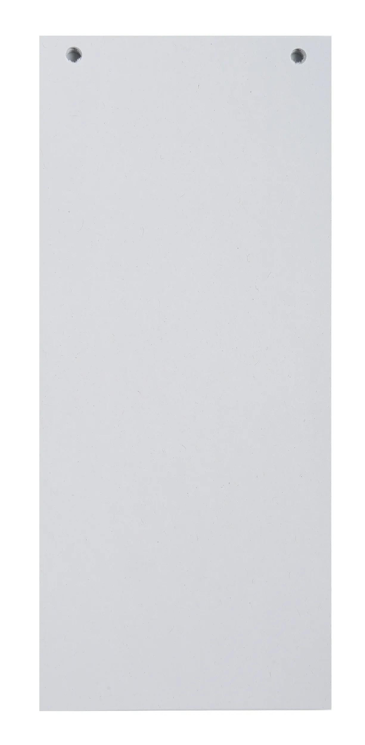 Paquet 100 fiches intercalaires horizontales unies perforees forever - 105x240mm