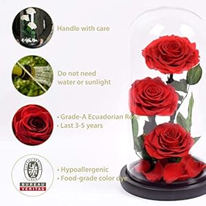 Luxury Preserved Real Rose Glass Dome Eternal Flower Forever Beauty Beast Love Gift for Mom Women Wife Girlfriend Valentineβs Wedding Birthday Anniversary Christmas Decor Luxury Preserved Real Rose Glass Dome Eternal Flower Forever Beauty Beast Love Gift for Mom Women Wife Girlfriend Valentines Wedding Birthday Anniversary Christmas Decor