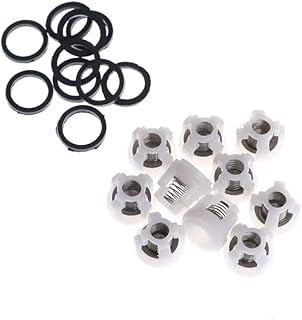 Ningc Kit Riparazione valvola di ritegno 10 Pezzi AR 2233 per Pompa Acqua idropulitrice