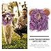BESPORTBLE 1pc Lion Hat for Cats and Dogs Halloween Decorative Headwear Lovely Pet Costume Accessory for Parties and Celebrations Lion Hat
