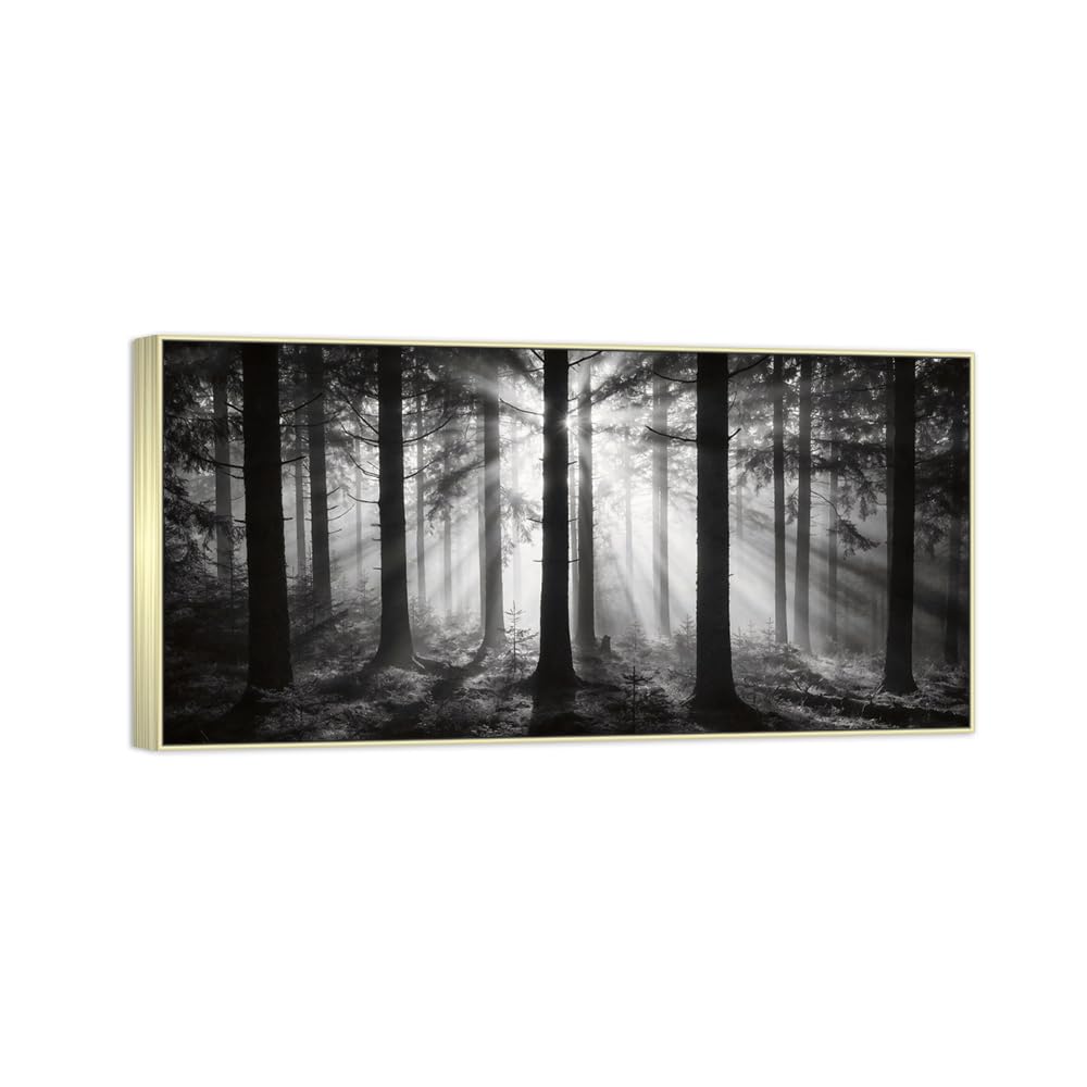 Tree Sunshine 4 Black White Landscape Canvas Picture 20x40cm Silver Frame