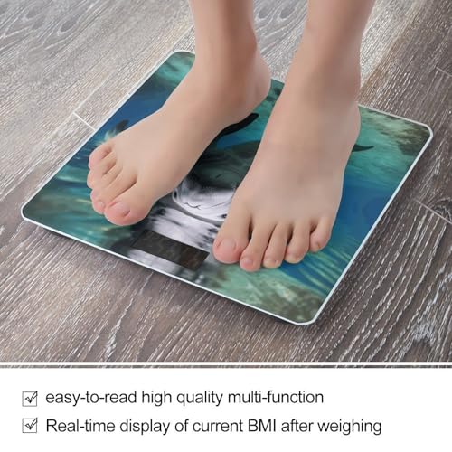 Báscula Digital Oceánica Manatí para Peso Corporal Precisa miniatura 5