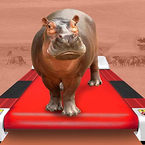 Image of Tredmills for Running Proform Treadmill Treadmills Home Small Ultra-Quiet Shock Absorption Family Mini Simple Folding Mechanical