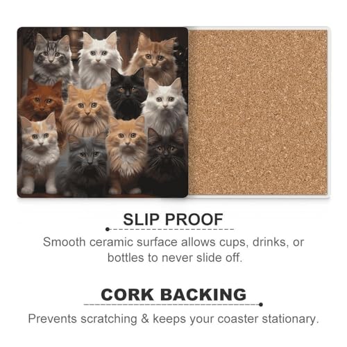 Dessous de verre chat réutilisables pour table basse lot de 4 protège-table lavables