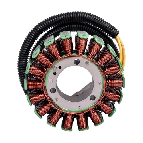 Stator de démarreur électrique évite les pannes sur LT V800