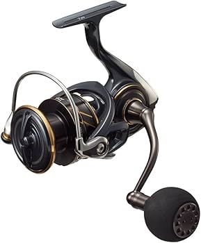 22カルディア　4000D-CXH Amazon | ダイワ(DAIWA) スピニングリール 22 カルディアSW