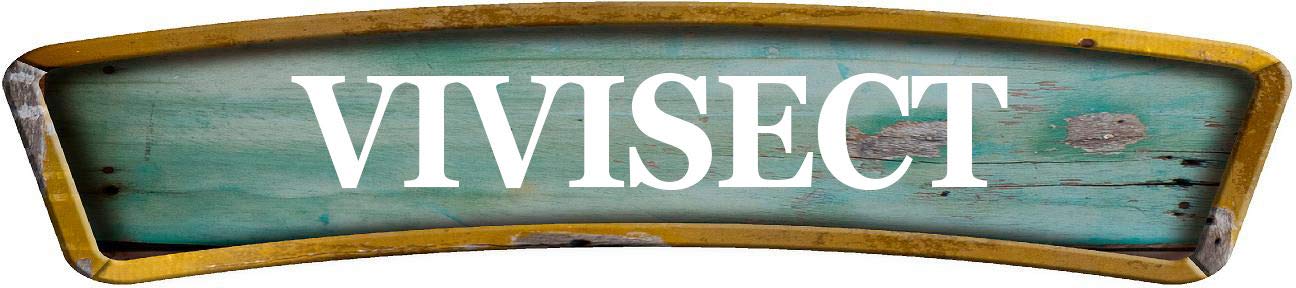 ANY AND ALL GRAPHICS VIVISECT Teal Curved Shaped Weathered Rustic Painted Wood Look Novelty décor Composite Aluminum Beach Cottage Sign.