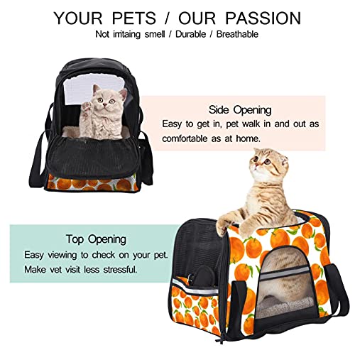 Sac de transport pour chien de qualité supérieure doté d'un imprimé orange exclusif