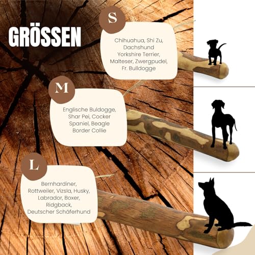 PetLove Kauholz für Hunde aus Olivenholz • Holzknochen als Hundespielzeug • Kauknochen als Zahnpflege & Kauspielzeug für Hund • Größe: S (60-99g) • Ideal für Welpen & kleine Hunde