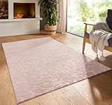 Taracarpet