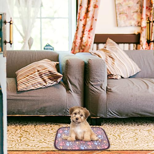 Tapis rafraîchissant pour animaux petits et hamsters Hemobllo double face