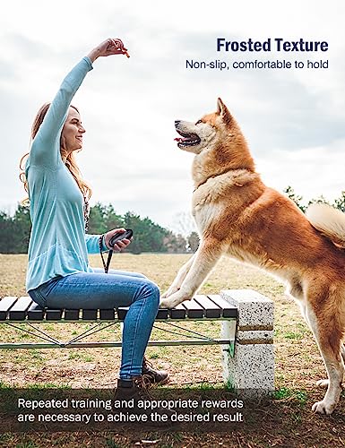 Ultraschall Hunde, Handheld Anti-Bell-Gerät, Anti-Bell-Mittel für Hunde, wiederaufladbare Handheld Trainingsgerät für Hunde mit 5m Reichweite, sichere Mini Antibell für kleine große Hunde Freien