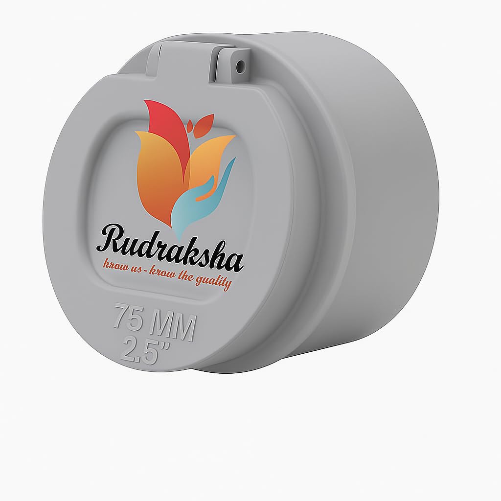 Rudraksha PVC Pipe Fittings Pipe Screens Mosquito Tank Pvc Pipe Flap Gate Valve non Return Valve For Water (75mm (2.5Inch)-image-40