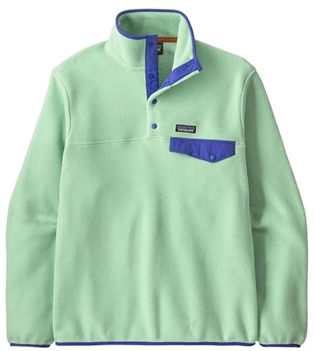 [パタゴニア] M's Lightweight Synchilla Snap-T Fleece Pullover Rinsed Green (JP, アルファベット, M, Rinsed Green) [並行輸入品]