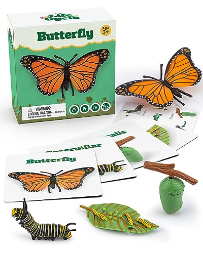 Life Cycle Kit Montessori - Realistic Figurine Toys, Kids Animal Matching Game with Butterfly, Catterpilar & More - Stocking Stuffers Science,Fun for Learning & Education Toys, for Children 3+