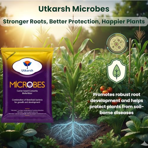 Image of Utkarsh Microbes (Carrier Based Consortia Biofertilizer - Azotobacter, Acetobacter, Rhizobium, Phosphorus Solubilizing Bacteria PSB, Potassium Mobilizing Bacteria KMB) (2.7 Kg; Pack of 3 of 900 gm)