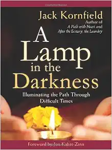 A Lamp in the Darkness: Illuminating the Path Through Difficult Times book cover
