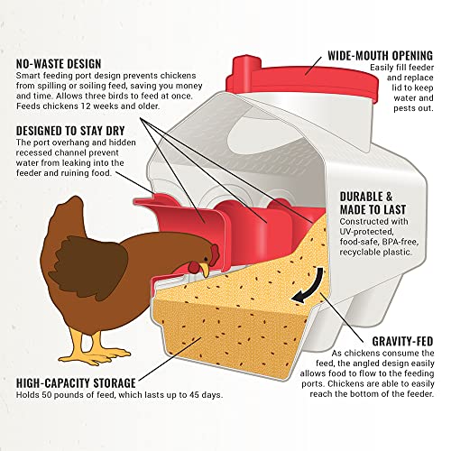 OverEZ-Chicken-Feeder-Holds-50-Pounds-of-Feed-Inside-or-Outside-Hen-Coop-Large-Gravity-Fed-Automatic-Poultry-Dispenser-No-Waste-Rainproof-Design