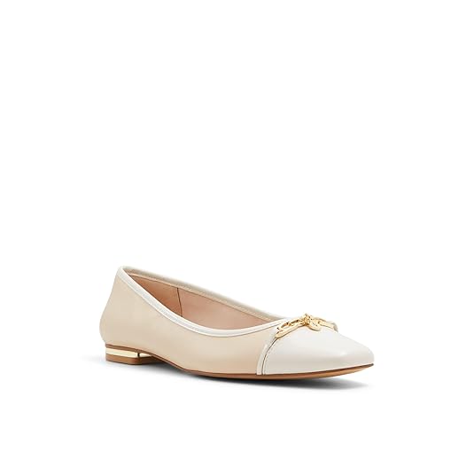 Aldo LALATERIELIN280 Ladies Other Beige Flat Shoes Amazon.in Fashion