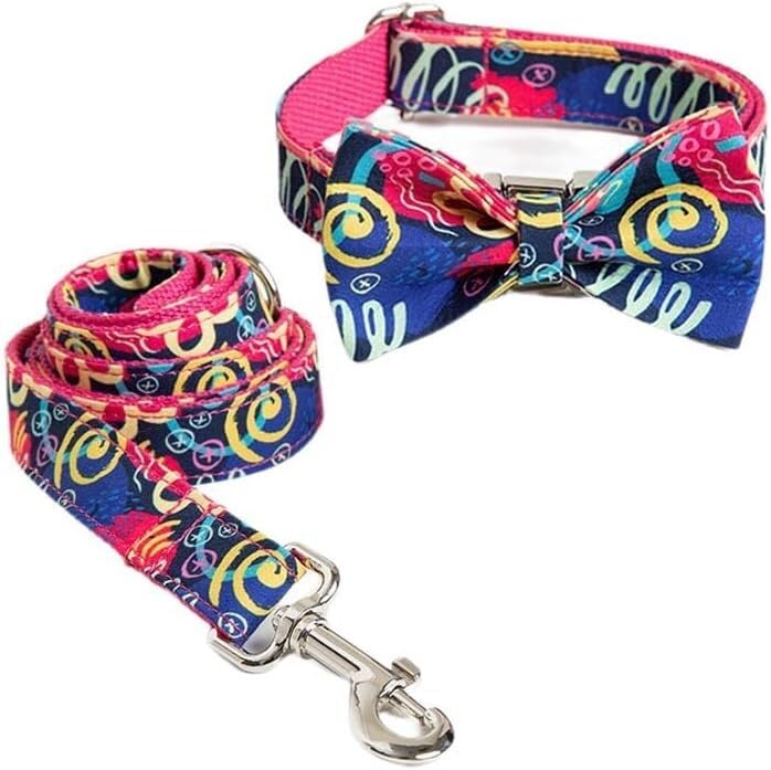 Collier pour chien réglable boucle métal rapide avec laisse de promenade