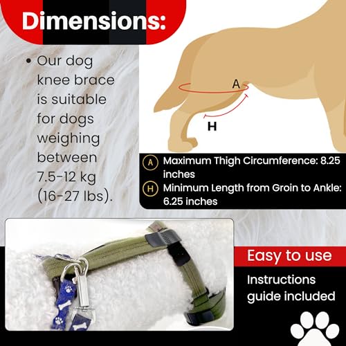 Image of Dog Knee Brace for Male /Female Dogs - Neoprene Support Dog Leg Braces for Back Leg with Adjustable Straps and Belt - Torn ACL Hind Leg, Ligament Injury, Joint Pain and Stability (Medium, Right)