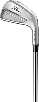 Amazon.co.jp: タイトリストアイアン 25 T100 4G RH New AMT