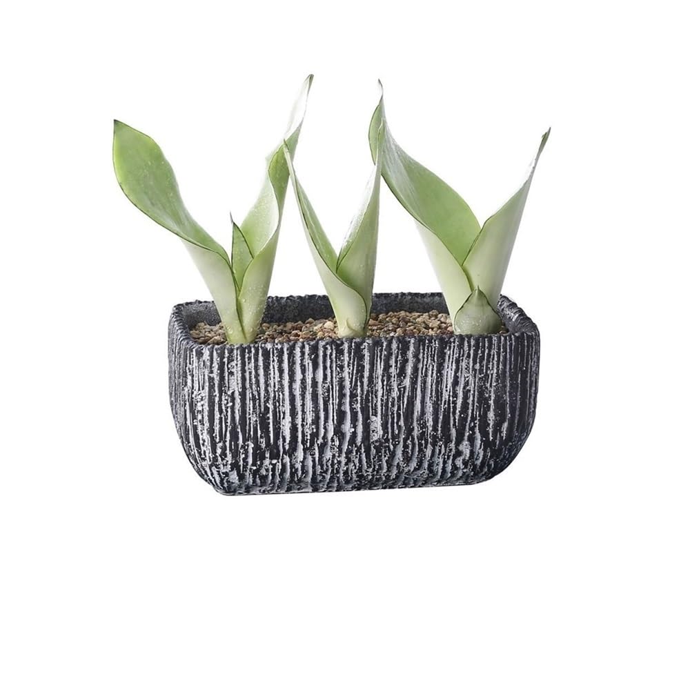 Xbgfdysd One Color Planter For Plants Flower Pots With Drainage Holes,Stone Like Garden Pot, Retro Plant Container Pots For Plants