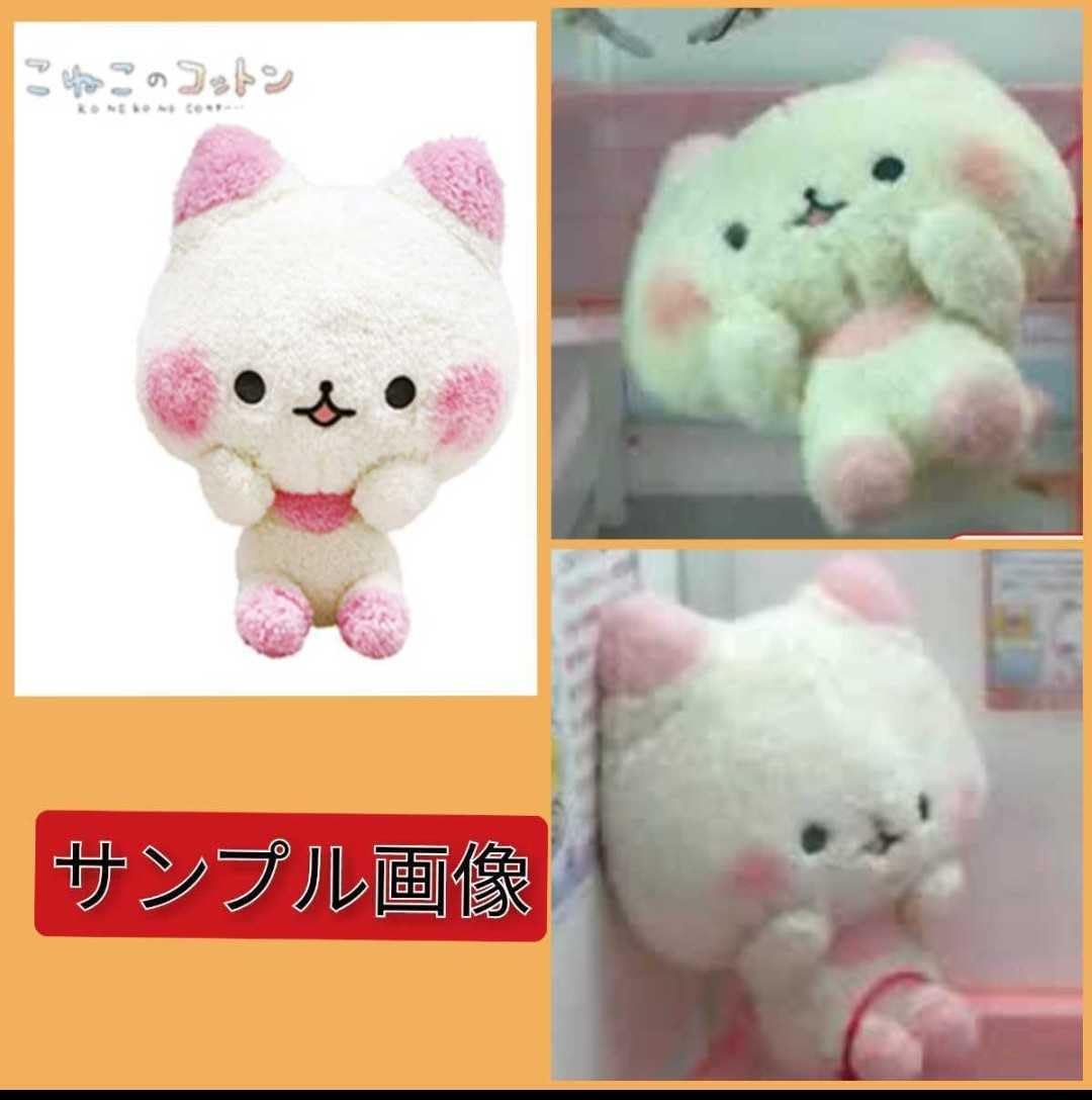 Amazon.co.jp: こねこのコットン ミディアム ぬいぐるみ 30cm 白猫
