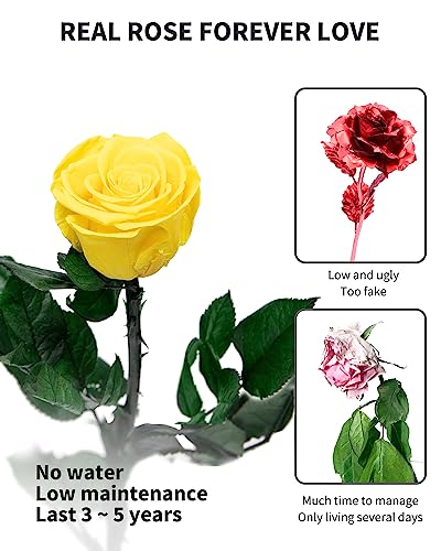 Image of Yellow Flowers for Delivery Prime, Preserved Yellow Roses Flower Gifts for Women, Real Roses Single Rose Gifts for Her, Mom Birthday Gifts from Daughter,, Valentines Flowers