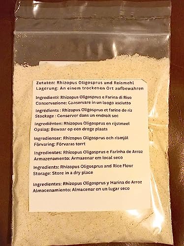 Non-Gmo-Tempeh Starter/Live Culture/Ragi Tempe/Inokulum 50 G/1.7637 Ounce- Halal #TOP1