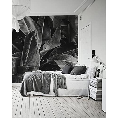 Papier peint muralo pour masquer les imperfections de mur de salon 250x104cm