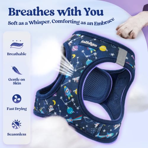 Image of rabbitgoo Dog Harness Small Sized and Leash Set, Step-in Puppy Pet Vest