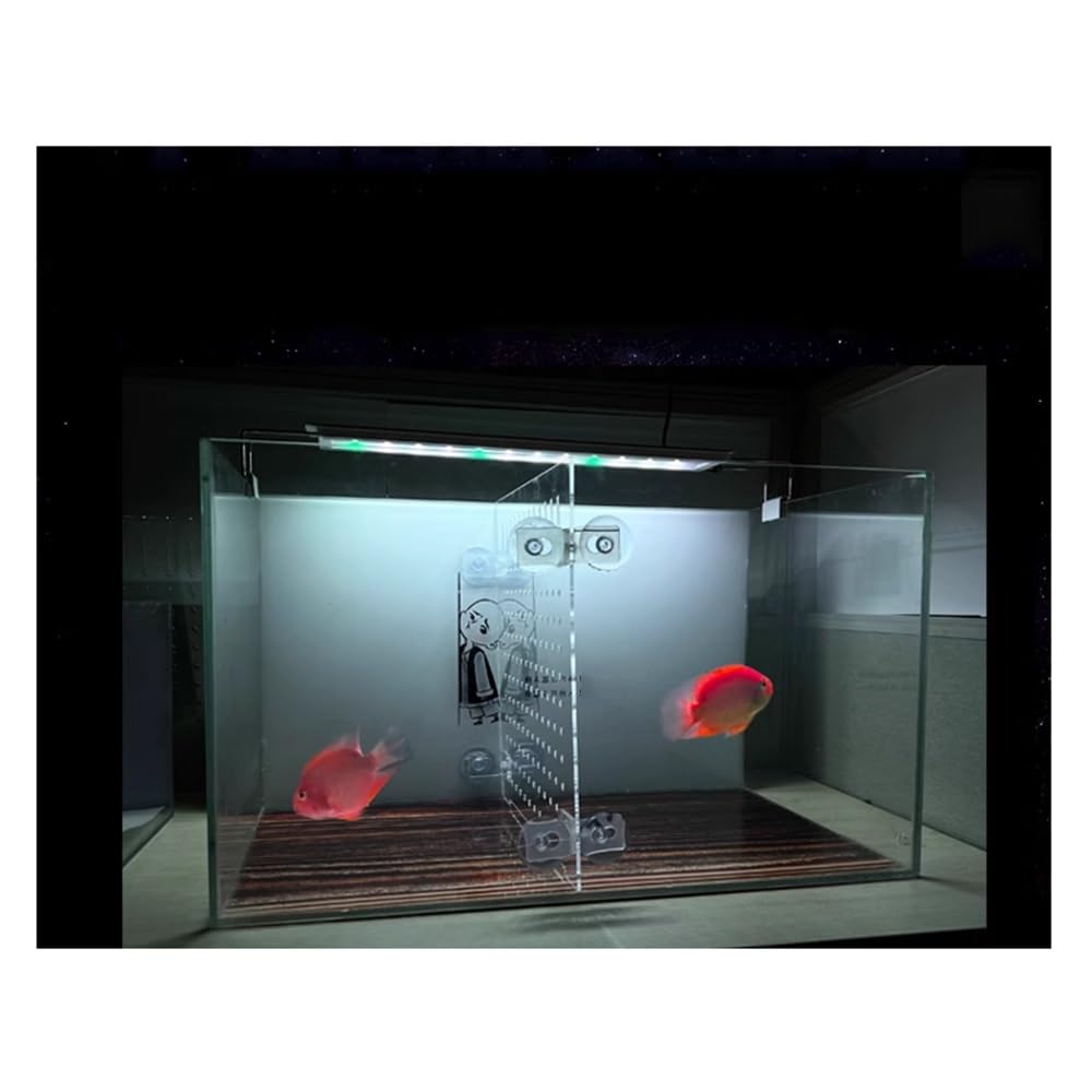 Divisori per Acquario Pannello isolante trasparente per acquario, divisorio acrilico, partizione di rete, previene i pesci, attacco di lotta con le tartarughe, ogni trasparente, dimensioni: 40 x 50 c