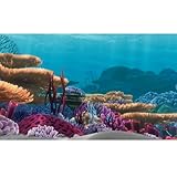 Penn Plax Finding Nemo Ocean Floor Scenery Background, 10-Gallon