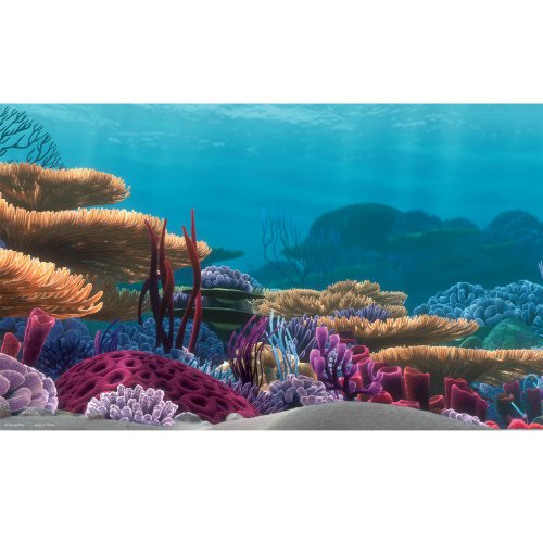 Penn Plax Finding Nemo Ocean Floor Scenery Background, 10-Gallon