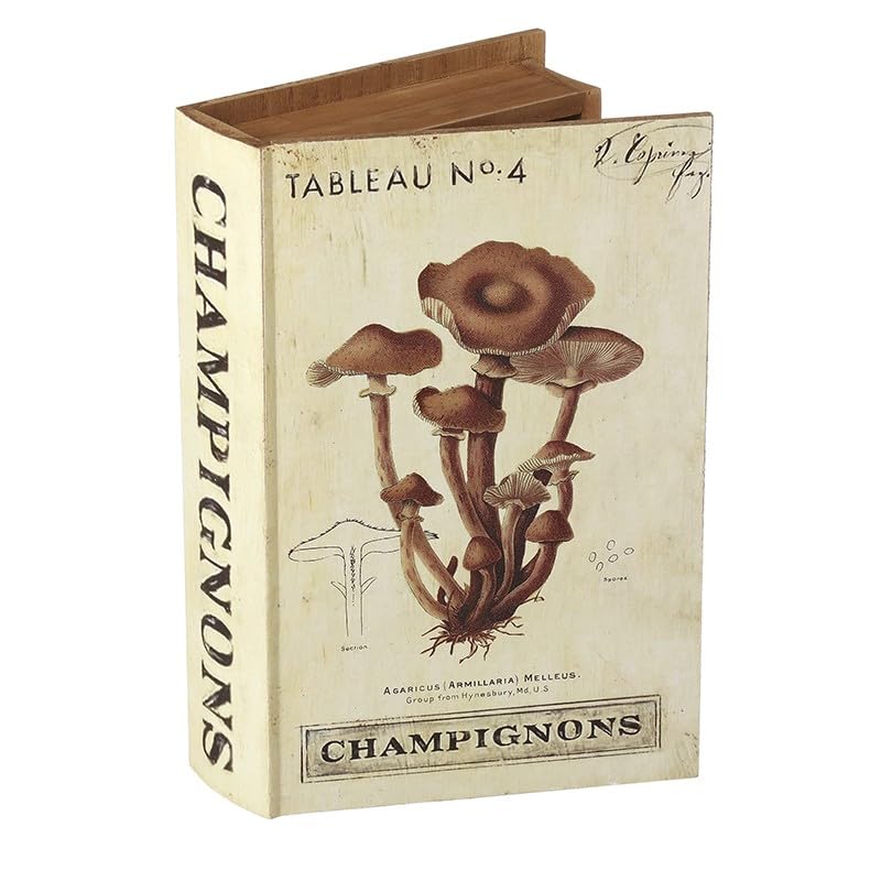 Boîte de rangement en bois style livre pour cacher vos objets précieux