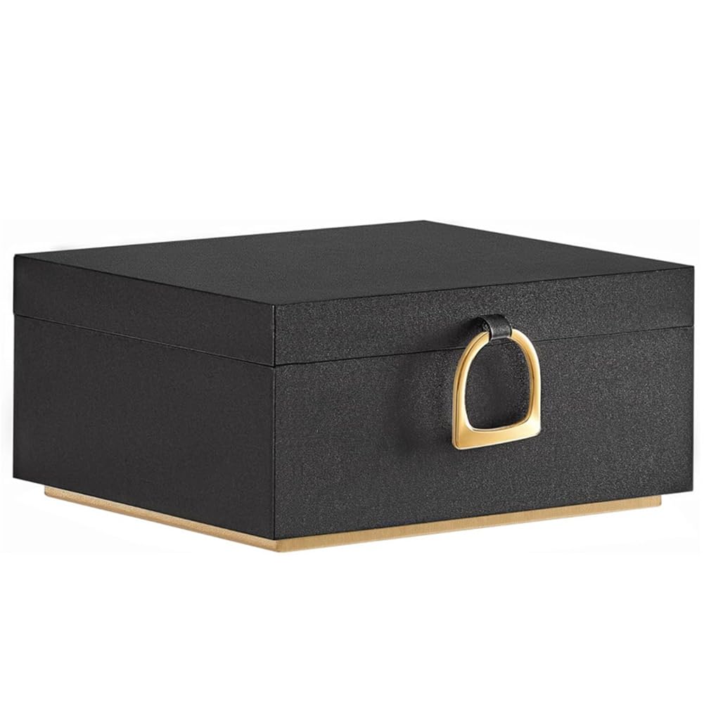 Hndhbfgrt 1PC 2-Layer Jewelry Box Jewelry Organizer with Handle Removable Jewelry Tray Jewelry Storage Floating Effect Storage
